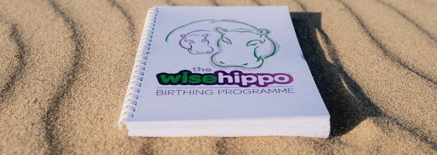wise hippo programme on beach